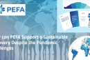 How Can PEFA Support a Sustainable Recovery Despite the Pandemic Challenges