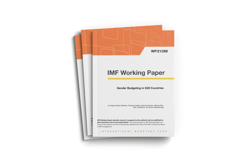  IMF Gender Budgeting in G20 Countries 