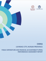 Liuyang City Report 2020